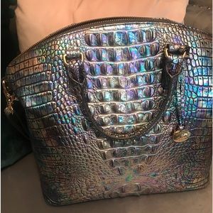 Beautiful Large Mother of Pearl Melbourne. Duxbury